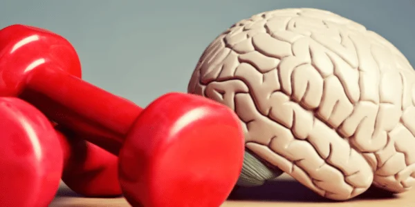 Red dumbbell with model brain