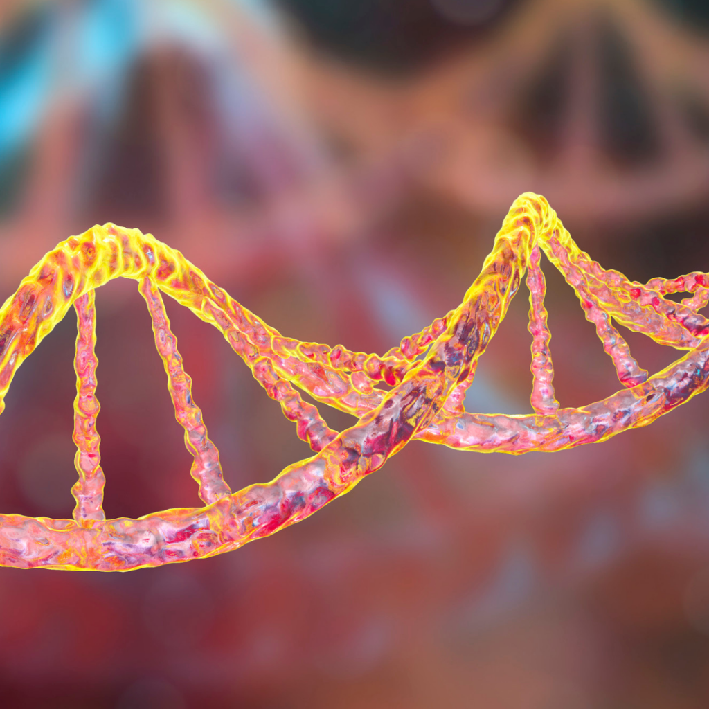 How to Consider Your Genetics in Weight Loss